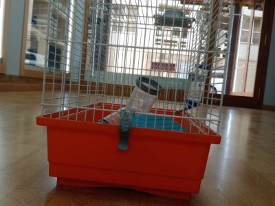 Jaula para Hamster